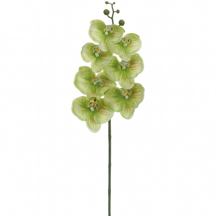 34.5" Hand-Wrapped Phalaenopsis Orchid Silk Flower Stem -2 Tone Green (Pack of 12) - FSO807-GR/TT