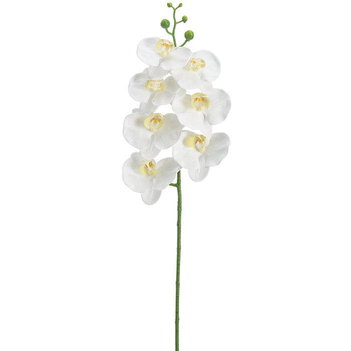 34.5" Hand-Wrapped Phalaenopsis Orchid Silk Flower Stem -White (Pack of 12) - FSO807-WH