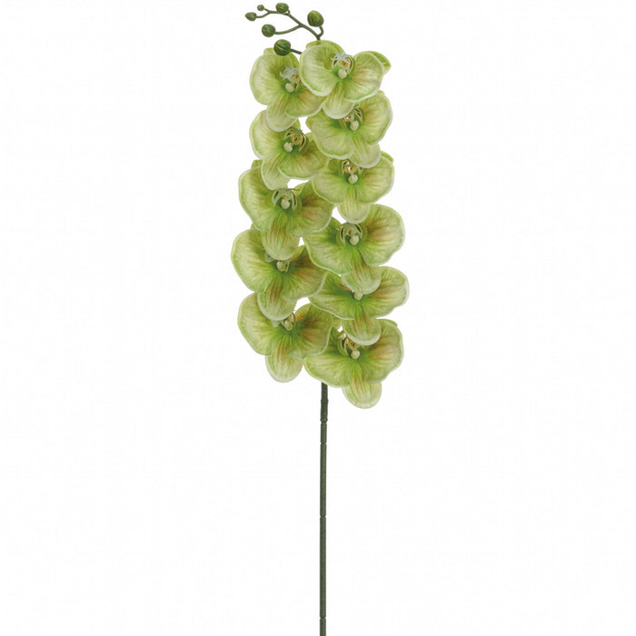 41" Hand-Wrapped Phalaenopsis Orchid Faux Flower Stem -2 Tone Green (Pack of 12) - FSO811-GR/TT