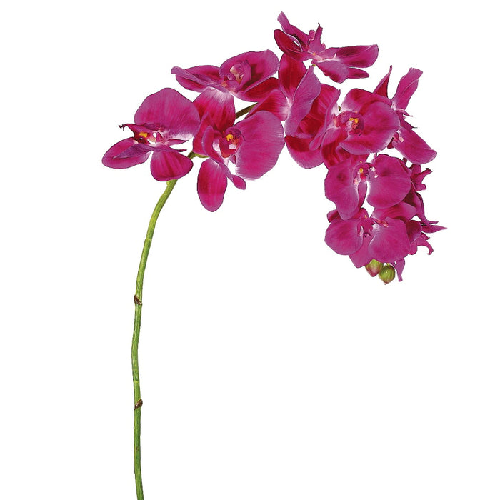 37" Silk Phalaenopsis Orchid Flower Spray -Orchid (pack of 12) - FSO928-OC
