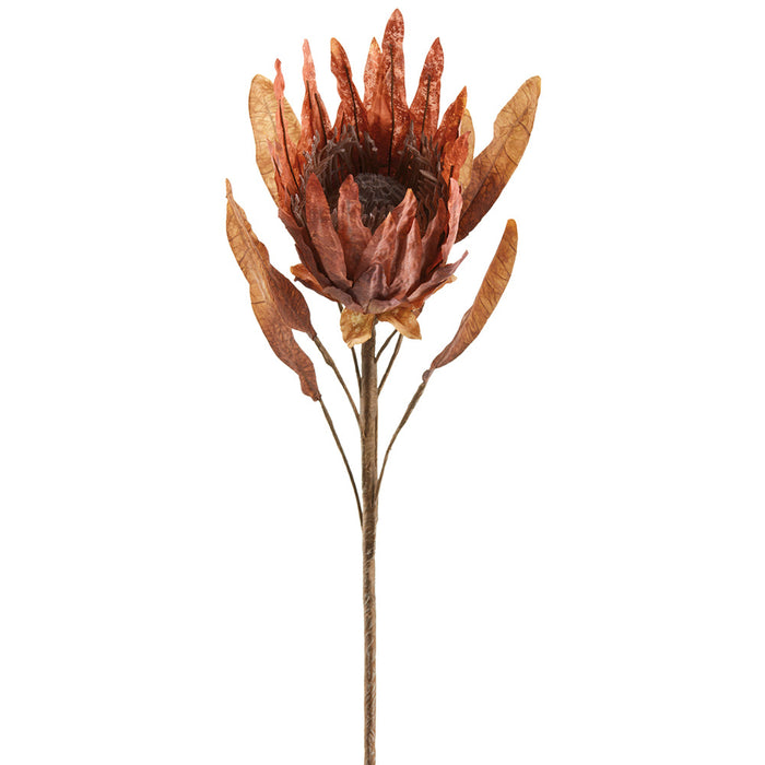 35" Protea Artificial Flower Stem -Purple (Pack of 12) - FSP002-PU