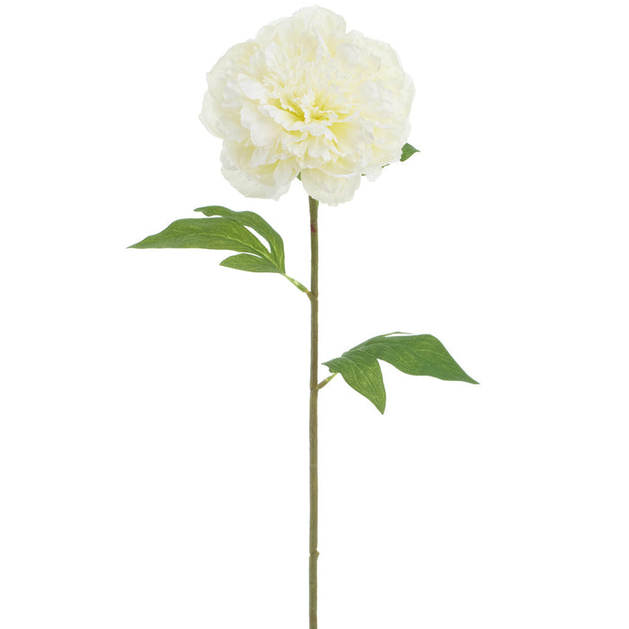 31" Peony Faux Flower Stem -Cream (Pack of 12) - FSP003-CR