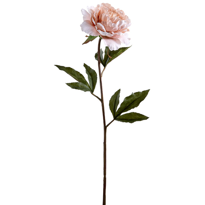 25" Silk Peony Flower Stem -Beige/Pink (pack of 12) - FSP004-BE/PK