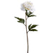 25" Silk Peony Flower Stem -Cream (pack of 12) - FSP004-CR
