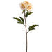25" Silk Peony Flower Stem -Light Yellow (pack of 12) - FSP004-YE/LT