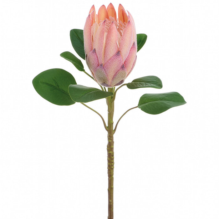 28" Protea Artificial Flower Stem -Salmon (Pack of 12) - FSP005-SA