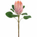 28" Protea Artificial Flower Stem -Salmon (Pack of 12) - FSP005-SA