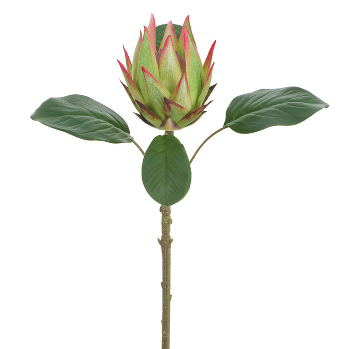 20" Protea Artificial Flower Stem -Green/Pink (Pack of 12) - FSP006-GR/PK