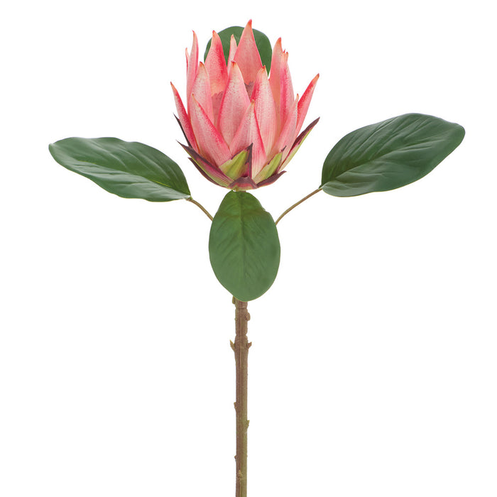 20" Protea Artificial Flower Stem -Salmon (Pack of 12) - FSP006-SA