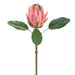 20" Protea Artificial Flower Stem -Salmon (Pack of 12) - FSP006-SA