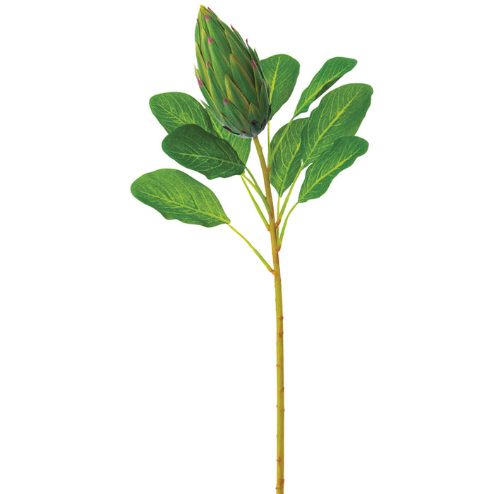 28.5" Protea Bud Silk Flower Stem -Green (pack of 12) - FSP007-GR