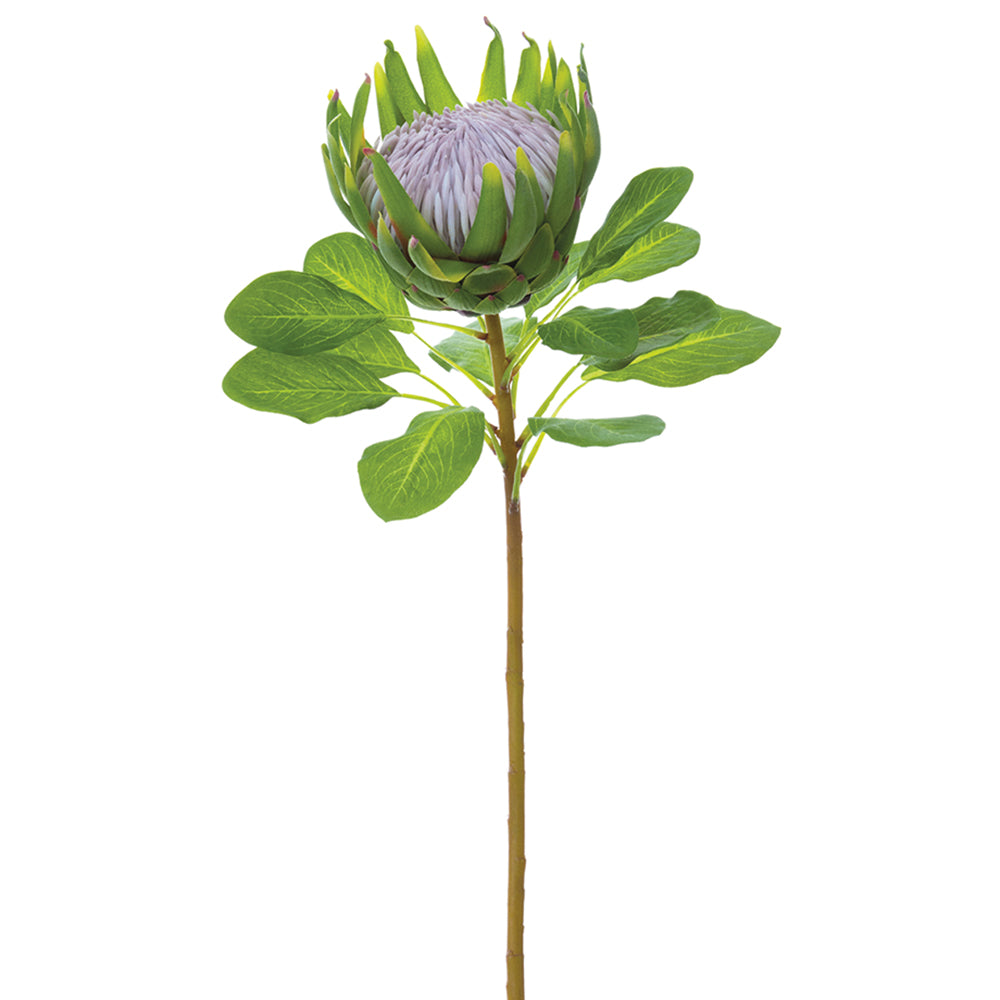 29" Tropical Silk Protea Flower Stem Green Protea Stem — Silks Are