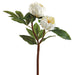 22" Silk Peony Flower Spray -Cream (pack of 12) - FSP025-CR