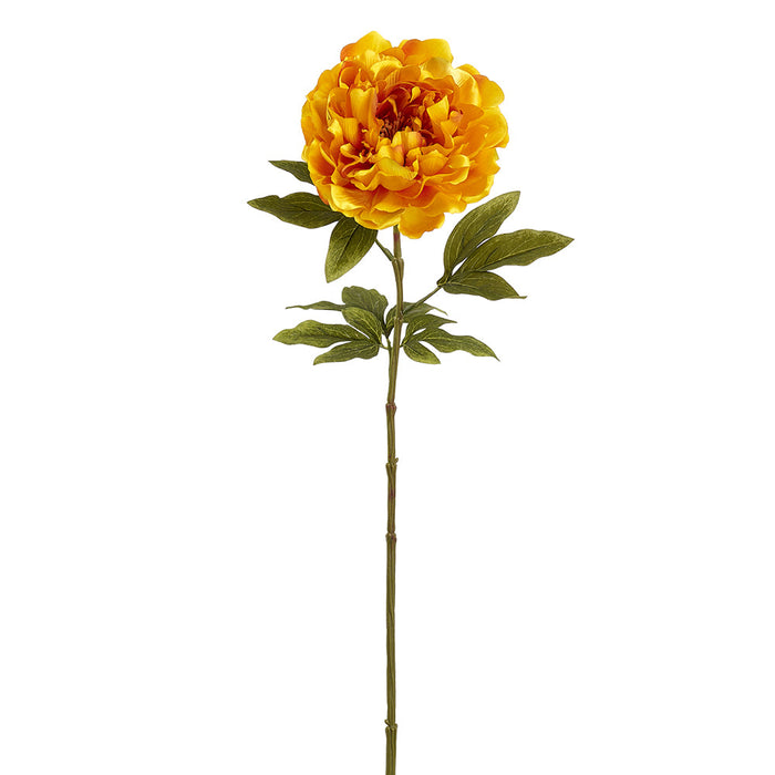 29" Peony Silk Flower Stem -Amber (Pack of 12) - FSP036-AM