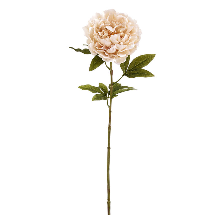 29" Peony Silk Flower Stem -Beige (Pack of 12) - FSP036-BE