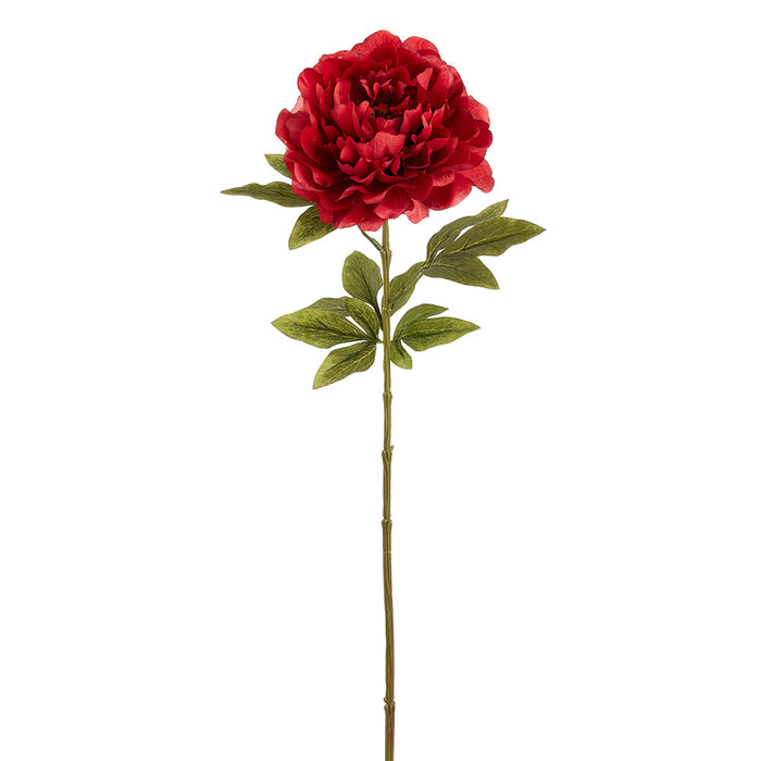 29" Peony Silk Flower Stem -Burgundy (Pack of 12) - FSP036-BU