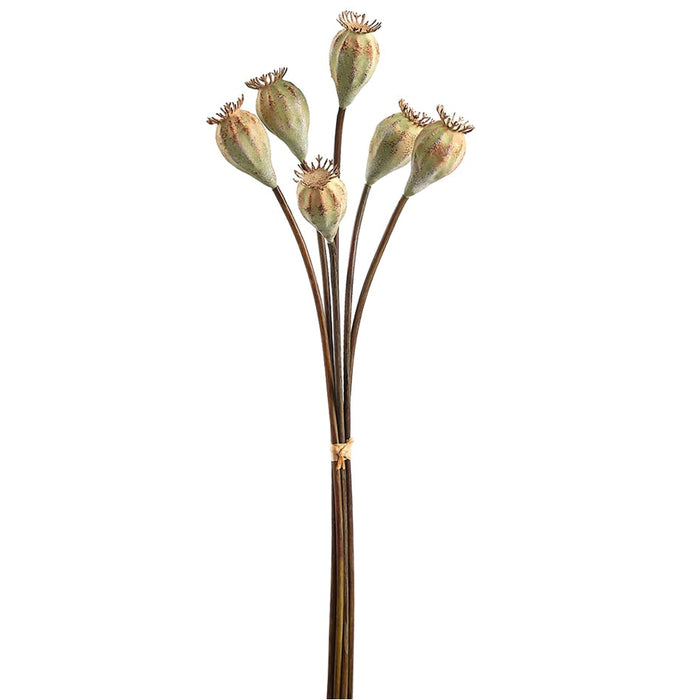 18" Artificial Poppy Pod Flower Stem -Light Green (pack of 12) - FSP037-GR/LT