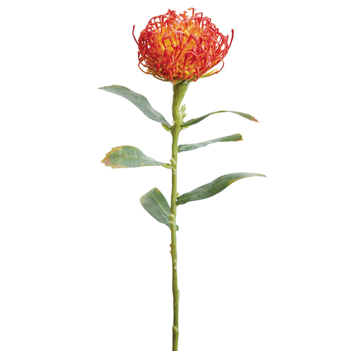 21" Protea Silk Flower Stem -Orange (pack of 12) - FSP042-OR