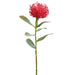 21" Protea Silk Flower Stem -Red (pack of 12) - FSP042-RE