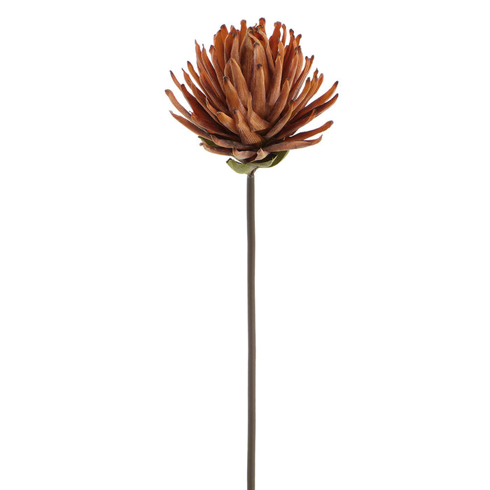 33" Protea Artificial Flower Stem -Rust (Pack of 12) - FSP045-RU