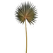15.5" Silk Fan Palm Leaf Stem -Green (pack of 12) - FSP053-GR
