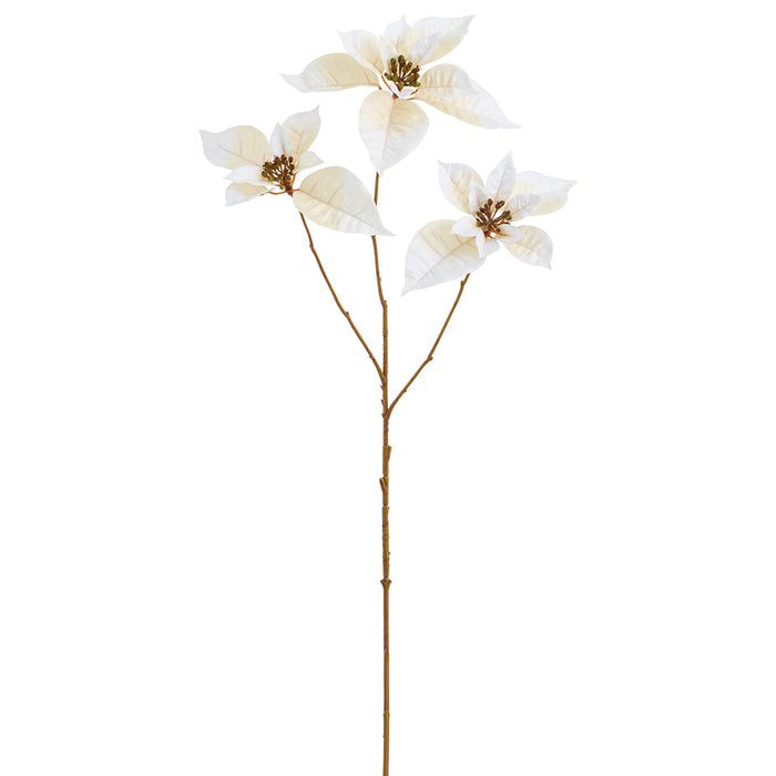 35.5" Silk Poinsettia Flower Stem -Cream (Pack of 12) - FSP057-CR