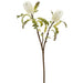 35" Protea Artificial Flower Stem -White (Pack of 8) - FSP064-WH