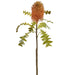 25" Protea Artificial Flower Stem -Orange (Pack of 12) - FSP067-OR