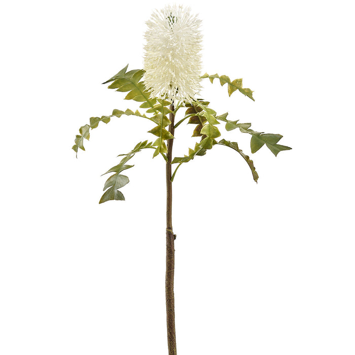 25" Protea Artificial Flower Stem -White (Pack of 12) - FSP067-WH