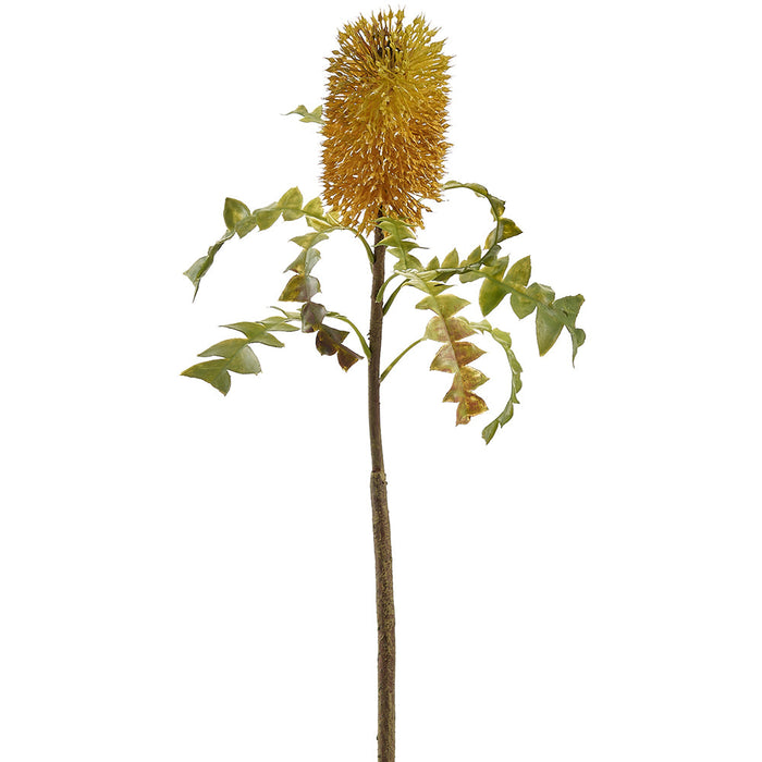 25" Protea Artificial Flower Stem -Yellow (Pack of 12) - FSP067-YE