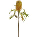 25" Protea Artificial Flower Stem -Yellow (Pack of 12) - FSP067-YE
