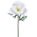 18" Silk Poppy Flower Stem -White (pack of 12) - FSP070-WH