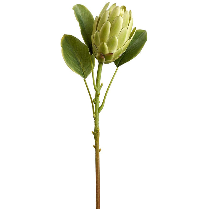 21" Protea Silk Flower Stem -Green (Pack of 12) - FSP072-GR