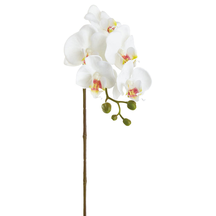 23.5" Real Touch Phalaenopsis Orchid Silk Flower Stem -White (pack of 12) - FSP089-WH
