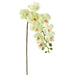 29" Real Touch Phalaenopsis Orchid Silk Flower Stem -Green (Pack of 12) - FSP090-GR