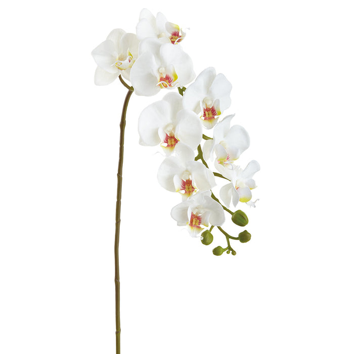 29" Real Touch Phalaenopsis Orchid Silk Flower Stem -White (Pack of 12) - FSP090-WH