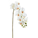 29" Real Touch Phalaenopsis Orchid Silk Flower Stem -White (Pack of 12) - FSP090-WH