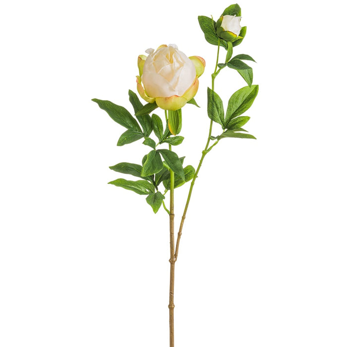 26.5" Silk Peony Flower Stem -Blush (pack of 12) - FSP102-BS