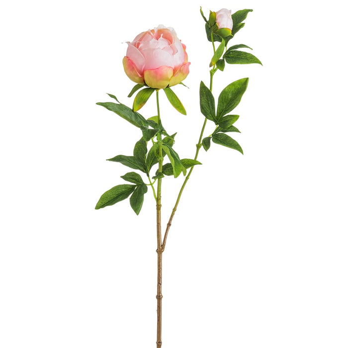 26.5" Silk Peony Flower Stem -Pink (pack of 12) - FSP102-PK