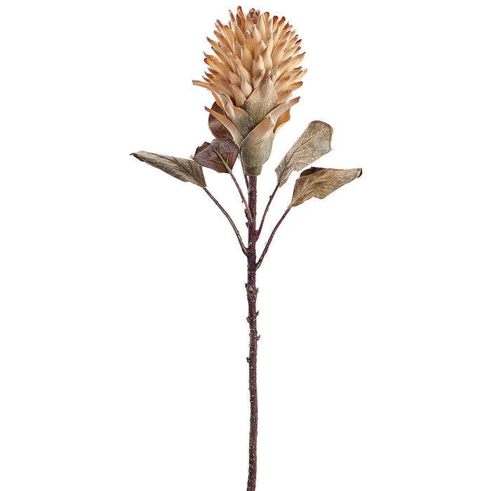 26" Dried-Look Artificial Red Hot Poker Flower Stem -Tan (pack of 12) - FSP108-TN