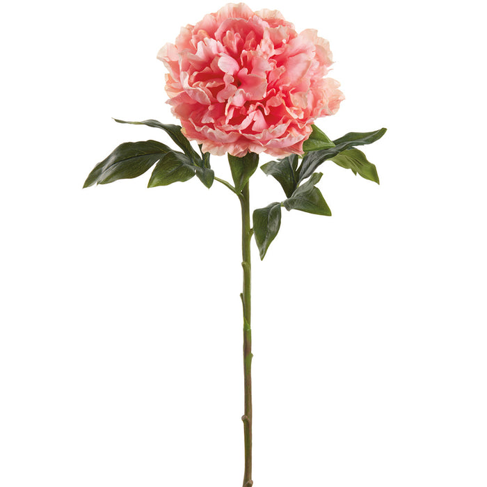 29" Large Peony Silk Flower Stem -Coral (Pack of 12) - FSP117-CO