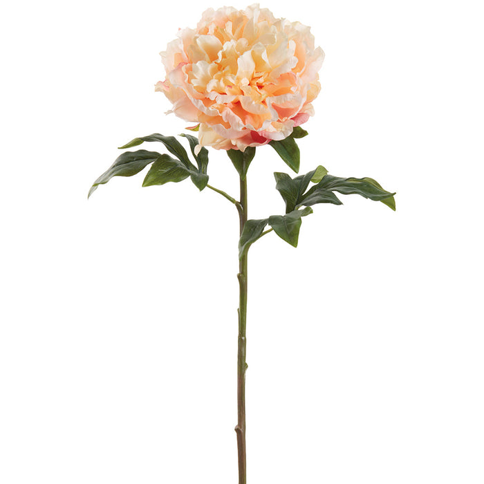 29" Large Peony Silk Flower Stem -2 Tone Peach (Pack of 12) - FSP117-PE/TT