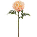 29" Large Peony Silk Flower Stem -2 Tone Peach (Pack of 12) - FSP117-PE/TT