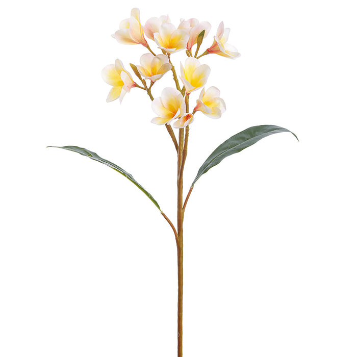 28" Frangipani Plumeria Silk Flower Stem -Cream (Pack of 12) - FSP125-CR