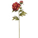 26" Silk Peony Flower Stem -Burgundy (pack of 12) - FSP145-BU