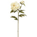 26" Silk Peony Flower Stem -Cream (pack of 12) - FSP145-CR