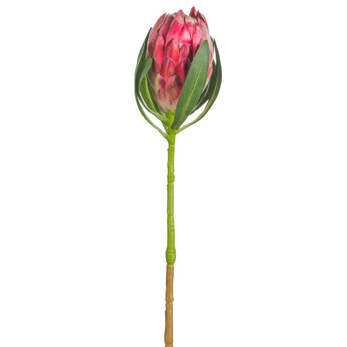 18.5" Artificial Protea Flower Bud Stem -Beauty (pack of 12) - FSP185-BT