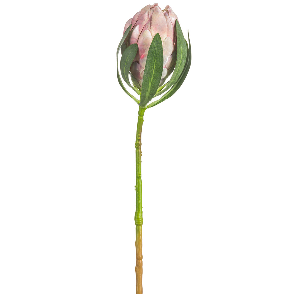 18.5" Artificial Protea Flower Bud Stem Light Pink Protea Stem — Silks Are Forever