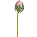 18.5" Artificial Protea Flower Bud Stem -Light Pink (pack of 12) - FSP185-PK/LT