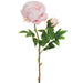 23" Peony Silk Flower Stem -Mauve (pack of 12) - FSP230-MV